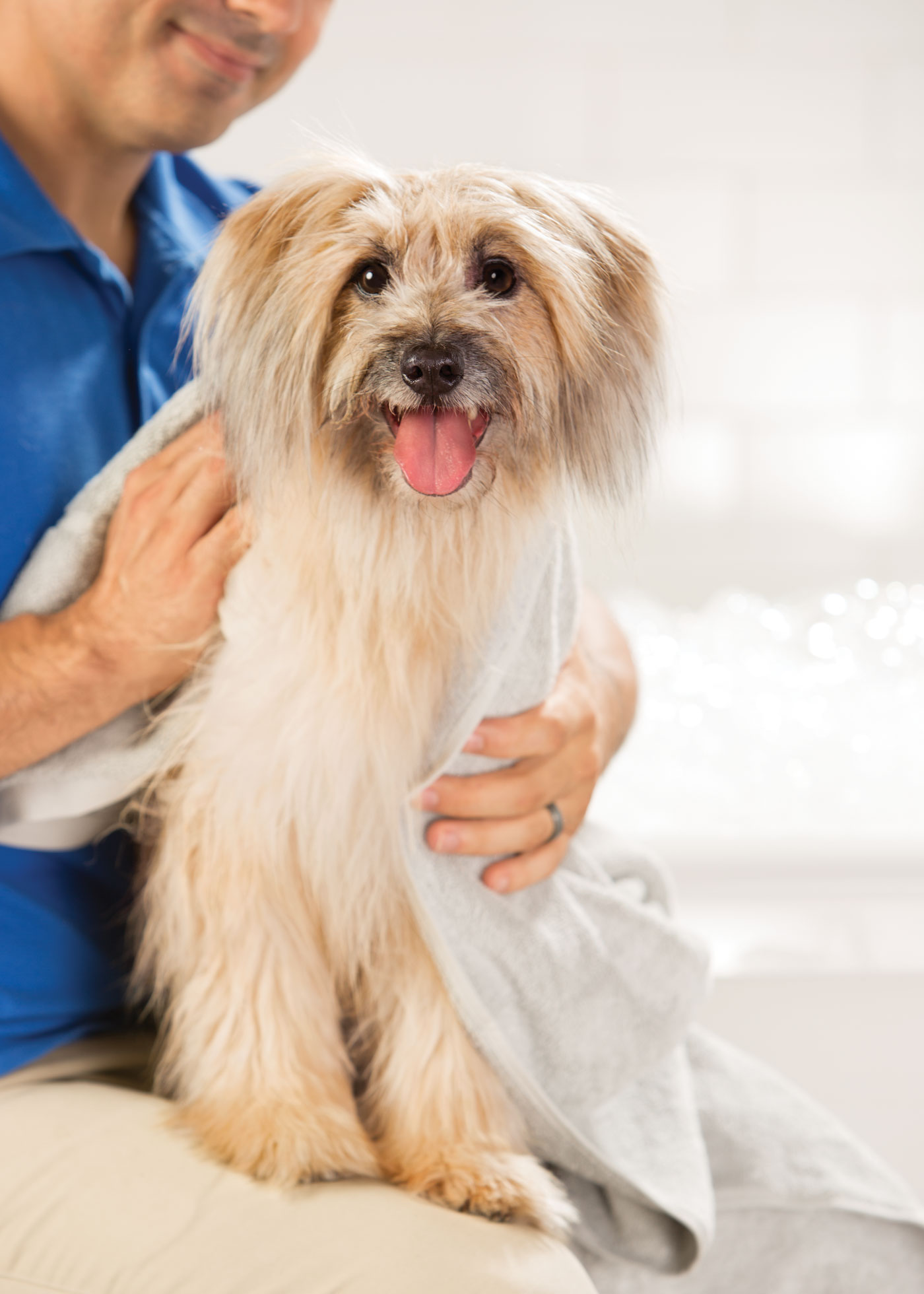 PetSmart Services Brand Shoot Design by Cory